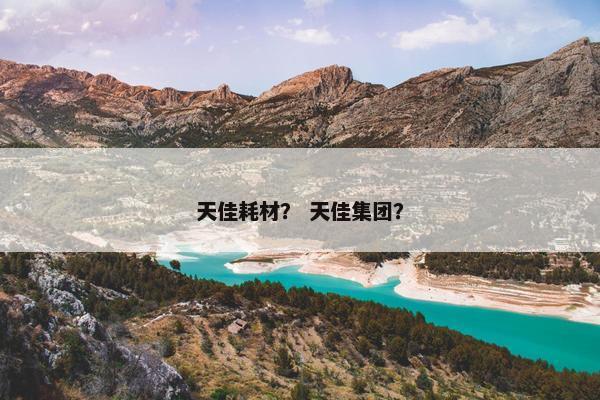 天佳耗材？ 天佳集团？