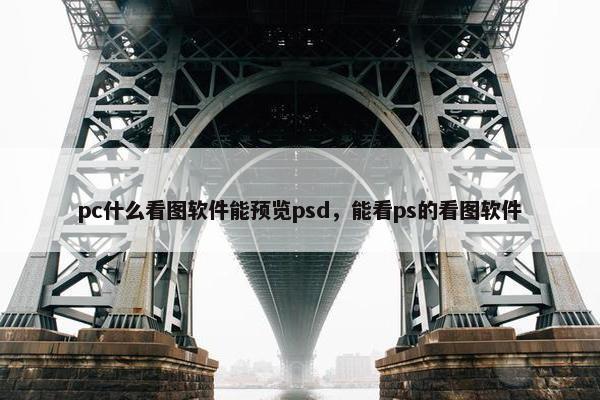 pc什么看图软件能预览psd，能看ps的看图软件