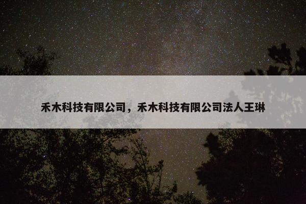 禾木科技有限公司，禾木科技有限公司法人王琳