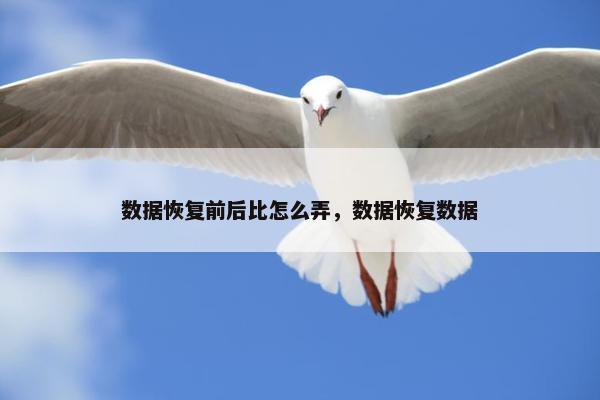 数据恢复前后比怎么弄，数据恢复数据