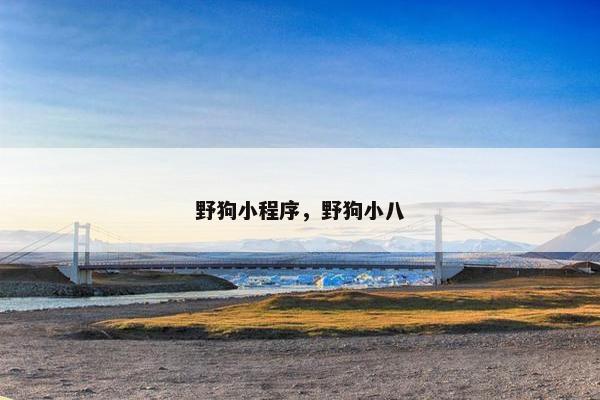 野狗小程序，野狗小八