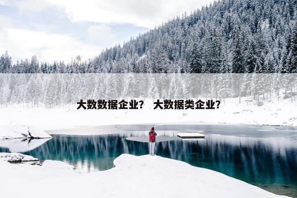 大数数据企业？ 大数据类企业？