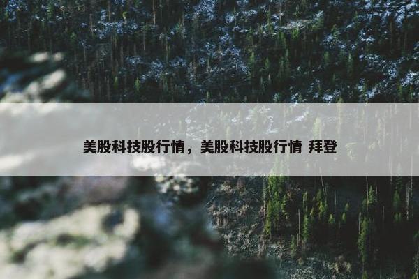 美股科技股行情，美股科技股行情 拜登