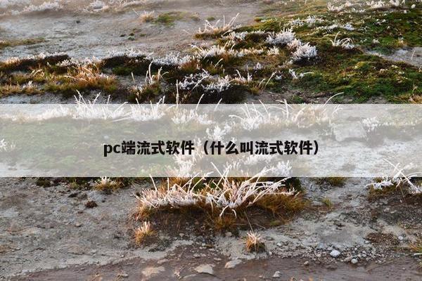 pc端流式软件（什么叫流式软件）