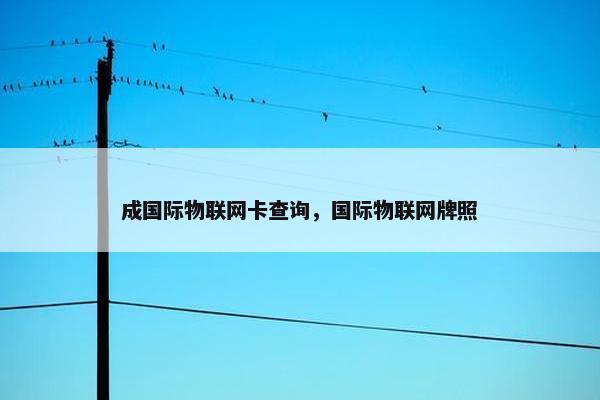 成国际物联网卡查询，国际物联网牌照
