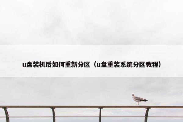 u盘装机后如何重新分区（u盘重装系统分区教程）