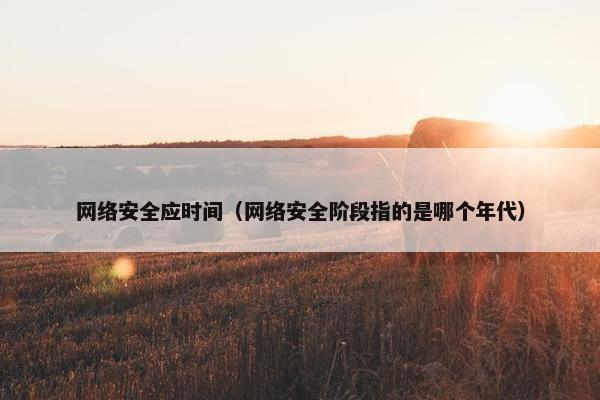 网络安全应时间（网络安全阶段指的是哪个年代）