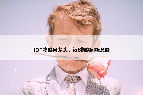 IOT物联网龙头，iot物联网概念股