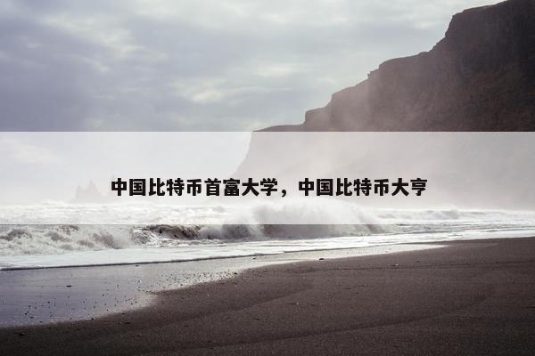 中国比特币首富大学，中国比特币大亨