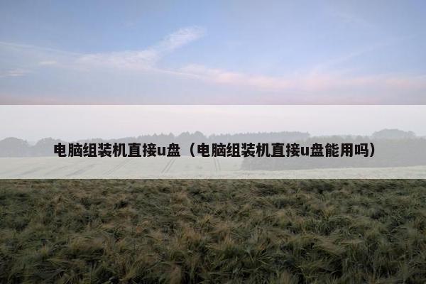 电脑组装机直接u盘（电脑组装机直接u盘能用吗）