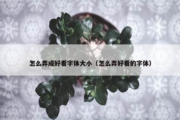 怎么弄成好看字体大小（怎么弄好看的字体）