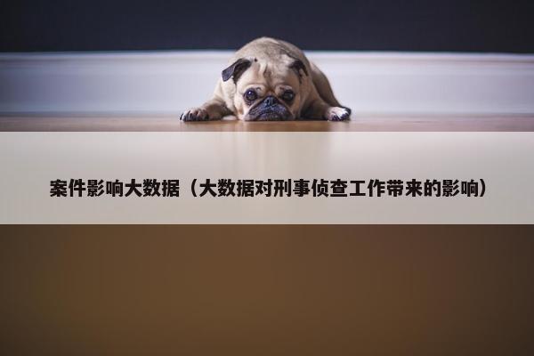 案件影响大数据（大数据对刑事侦查工作带来的影响）