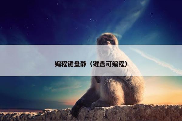 编程键盘静（键盘可编程）