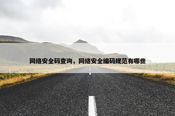网络安全码查询，网络安全编码规范有哪些