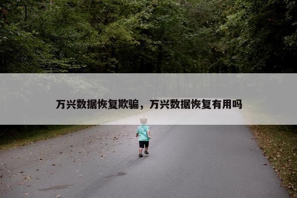 万兴数据恢复欺骗，万兴数据恢复有用吗
