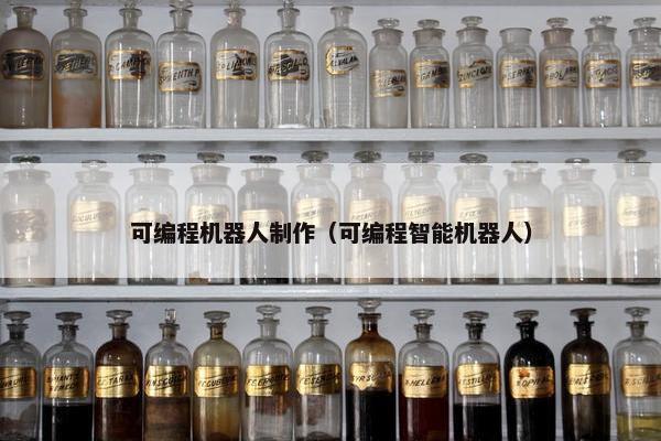 可编程机器人制作（可编程智能机器人）