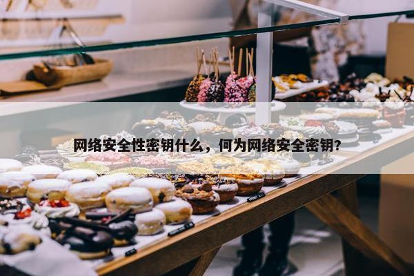 网络安全性密钥什么，何为网络安全密钥?