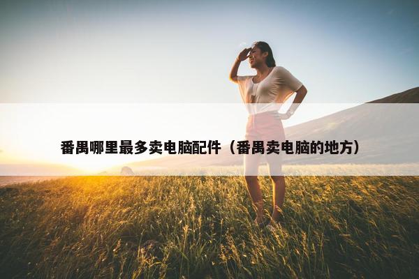 番禺哪里最多卖电脑配件（番禺卖电脑的地方）