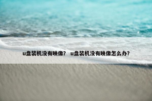 u盘装机没有映像？ u盘装机没有映像怎么办？