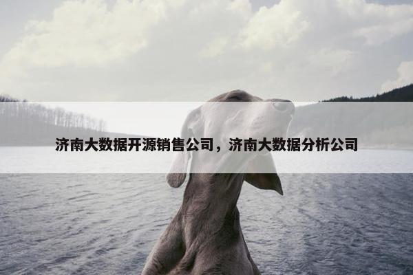 济南大数据开源销售公司，济南大数据分析公司