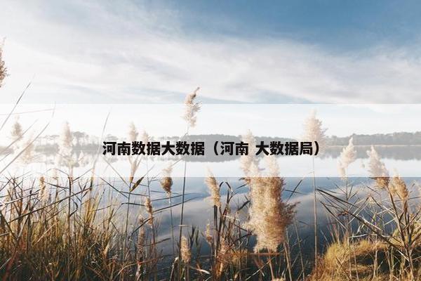 河南数据大数据（河南 大数据局）