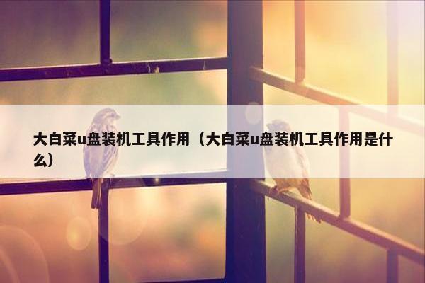 大白菜u盘装机工具作用（大白菜u盘装机工具作用是什么）