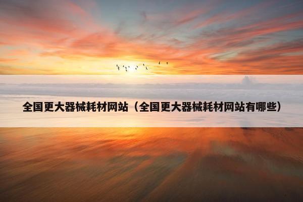 全国更大器械耗材网站（全国更大器械耗材网站有哪些）