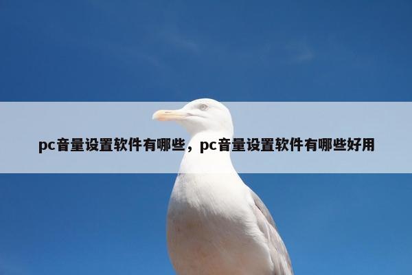 pc音量设置软件有哪些，pc音量设置软件有哪些好用