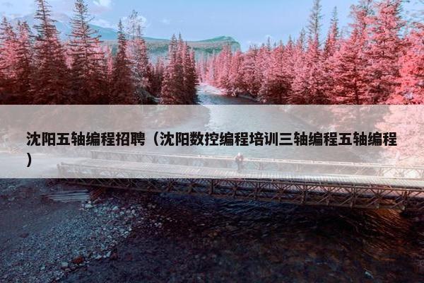 沈阳五轴编程招聘（沈阳数控编程培训三轴编程五轴编程）