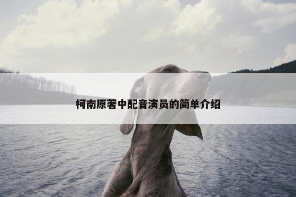 柯南原著中配音演员的简单介绍