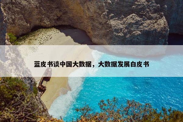 蓝皮书谈中国大数据，大数据发展白皮书