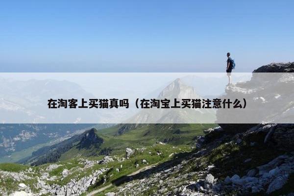 在淘客上买猫真吗（在淘宝上买猫注意什么）