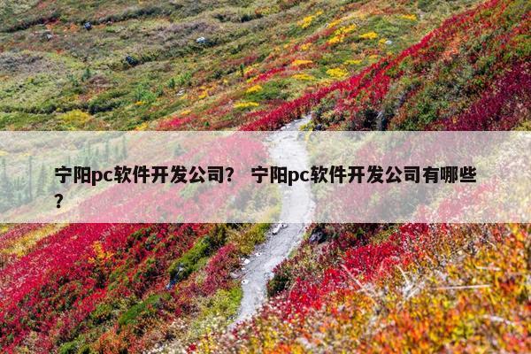 宁阳pc软件开发公司？ 宁阳pc软件开发公司有哪些？