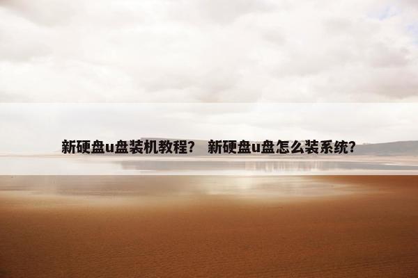 新硬盘u盘装机教程？ 新硬盘u盘怎么装系统？