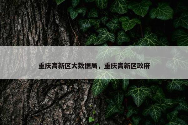 重庆高新区大数据局，重庆高新区政府