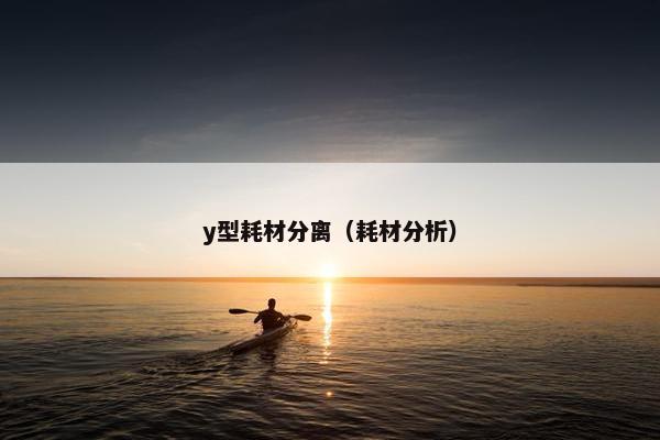 y型耗材分离（耗材分析）