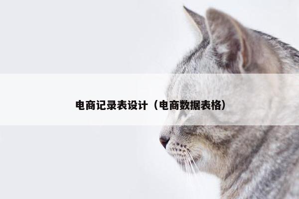 电商记录表设计（电商数据表格）