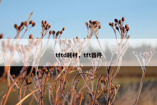 tftd耗材，tft器件