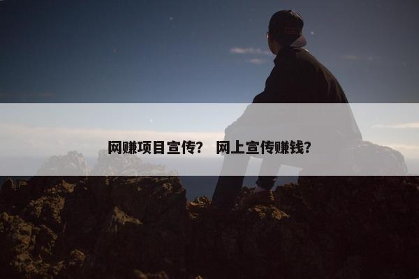 网赚项目宣传？ 网上宣传赚钱？