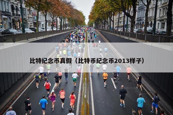 比特纪念币真假（比特币纪念币2013样子）