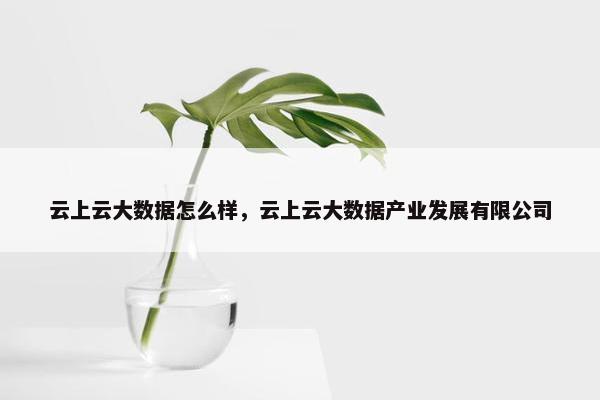 云上云大数据怎么样，云上云大数据产业发展有限公司