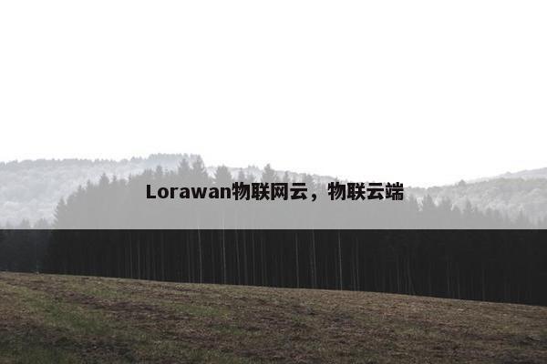 Lorawan物联网云，物联云端