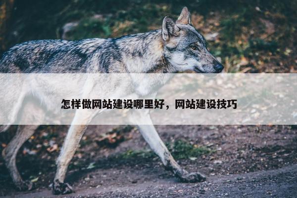 怎样做网站建设哪里好，网站建设技巧