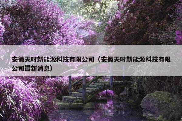 安徽天时新能源科技有限公司（安徽天时新能源科技有限公司最新消息）