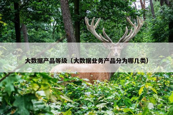 大数据产品等级（大数据业务产品分为哪几类）