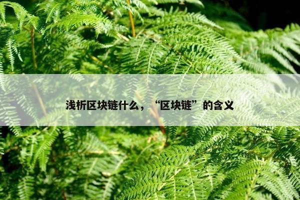 浅析区块链什么，“区块链”的含义
