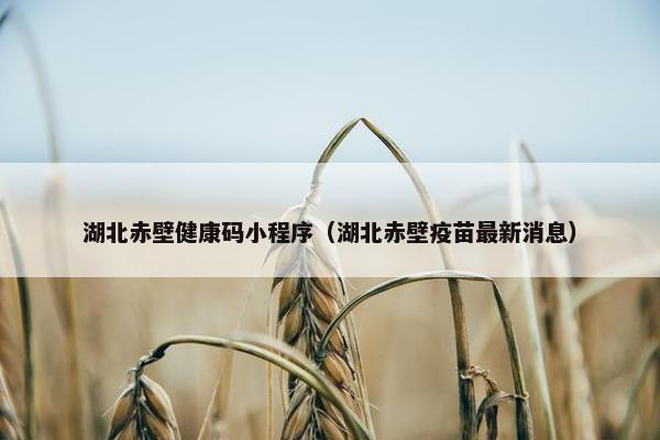 湖北赤壁健康码小程序（湖北赤壁疫苗最新消息）