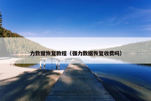 力数据恢复教程（强力数据恢复收费吗）