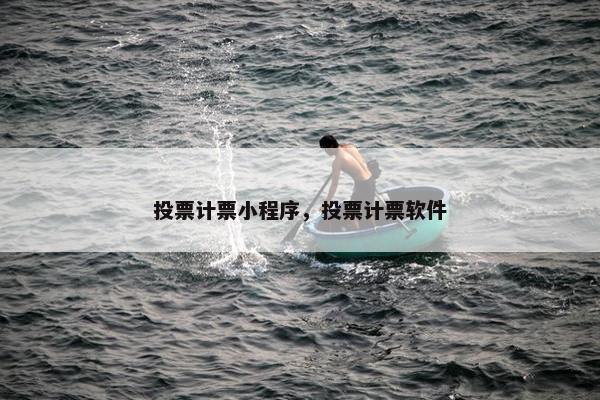 投票计票小程序，投票计票软件