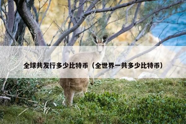 全球共发行多少比特币（全世界一共多少比特币）